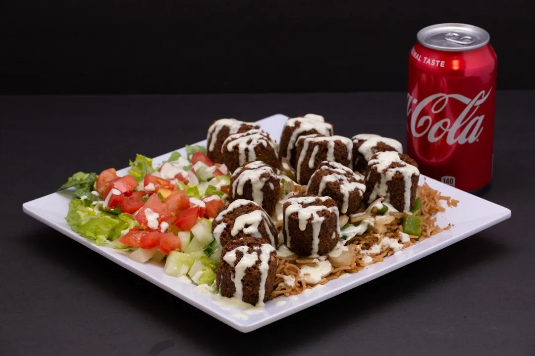 Falafel Platter
